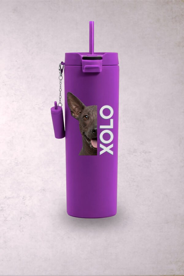 Vaso Perro Xoloitzcuintle Media Cara